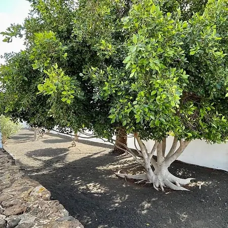 Estefania Playa Blanca