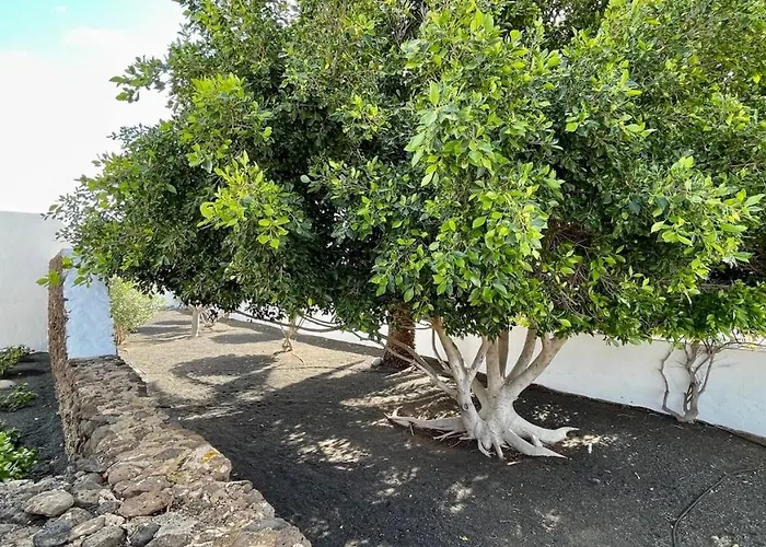 Estefania Πλάγια Μπλάνκα